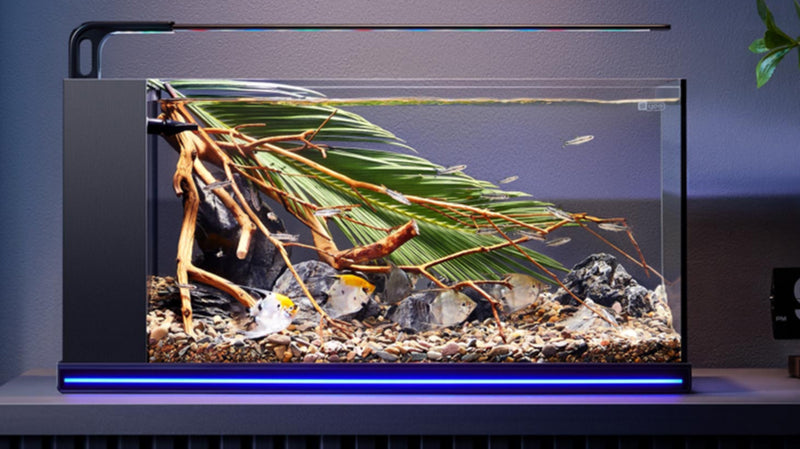 The Best Aquarium Heaters for Your Tank: Keeping Water at the Right Temperature