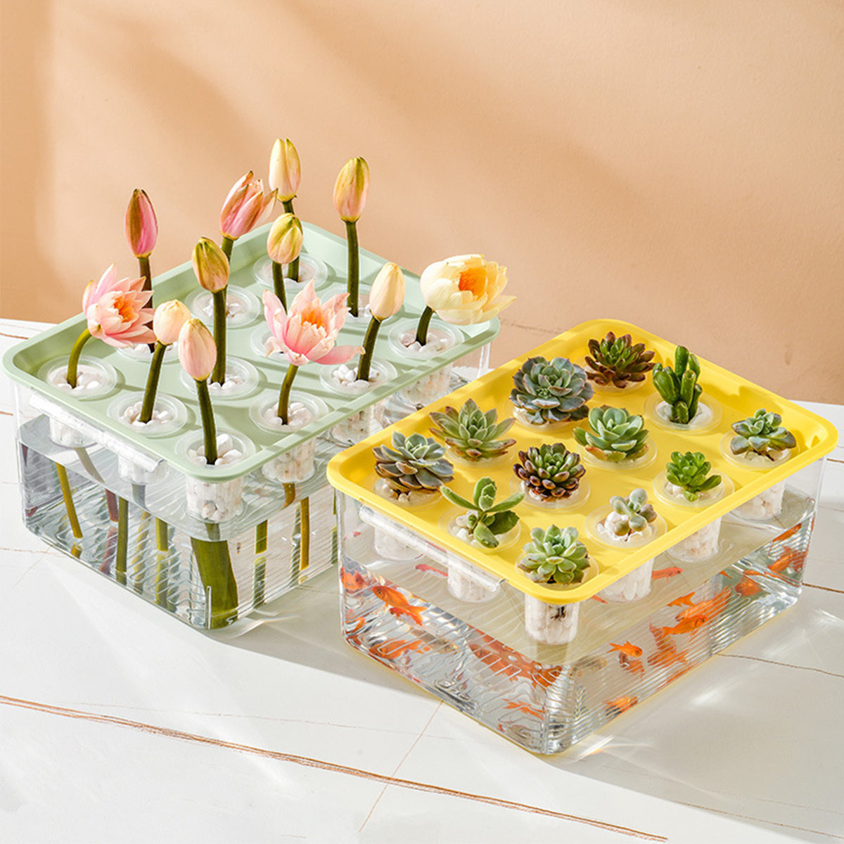 Transparent Hydroponic Aquarium with 12-Hole Lid