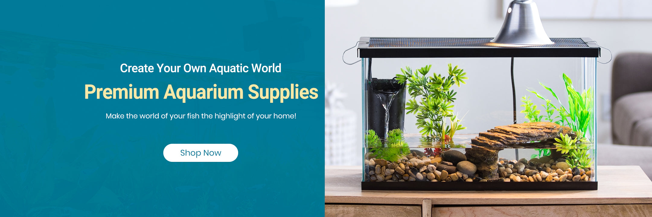 Aquarium Supplies