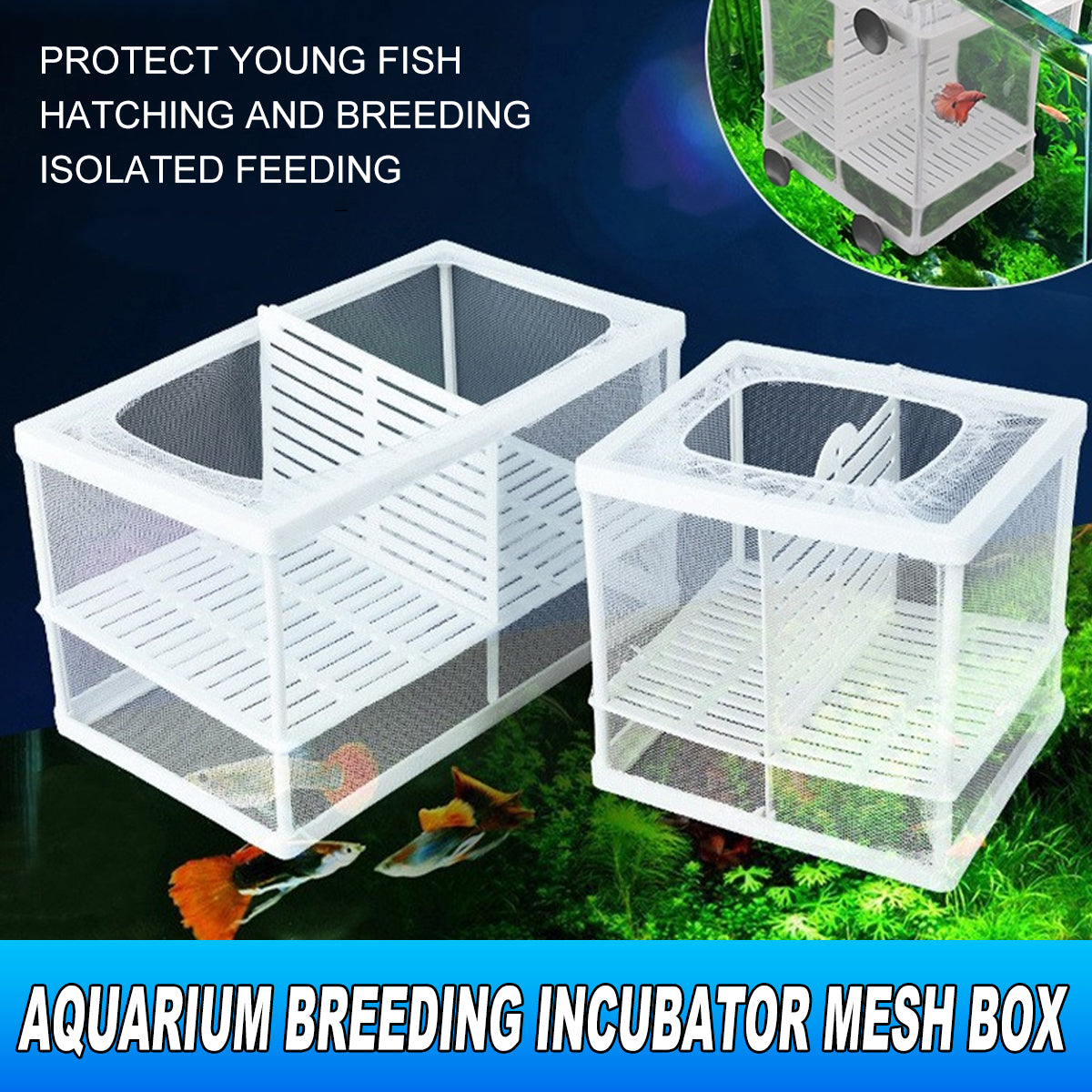 Guppy Fry Breeding Box Fish Tank Isolation Box with Mesh Divider