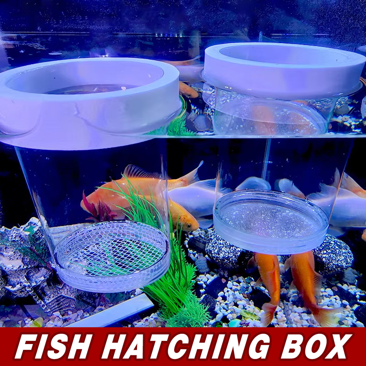 Floating Fish Breeding Box PET Isolation Tank For Fry & Small Fish