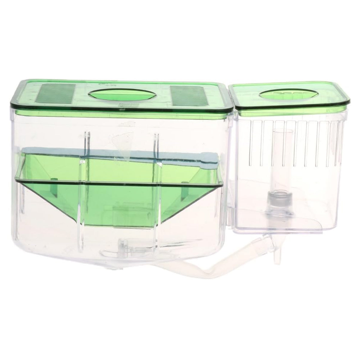 Double-Layer Fish Isolation Box