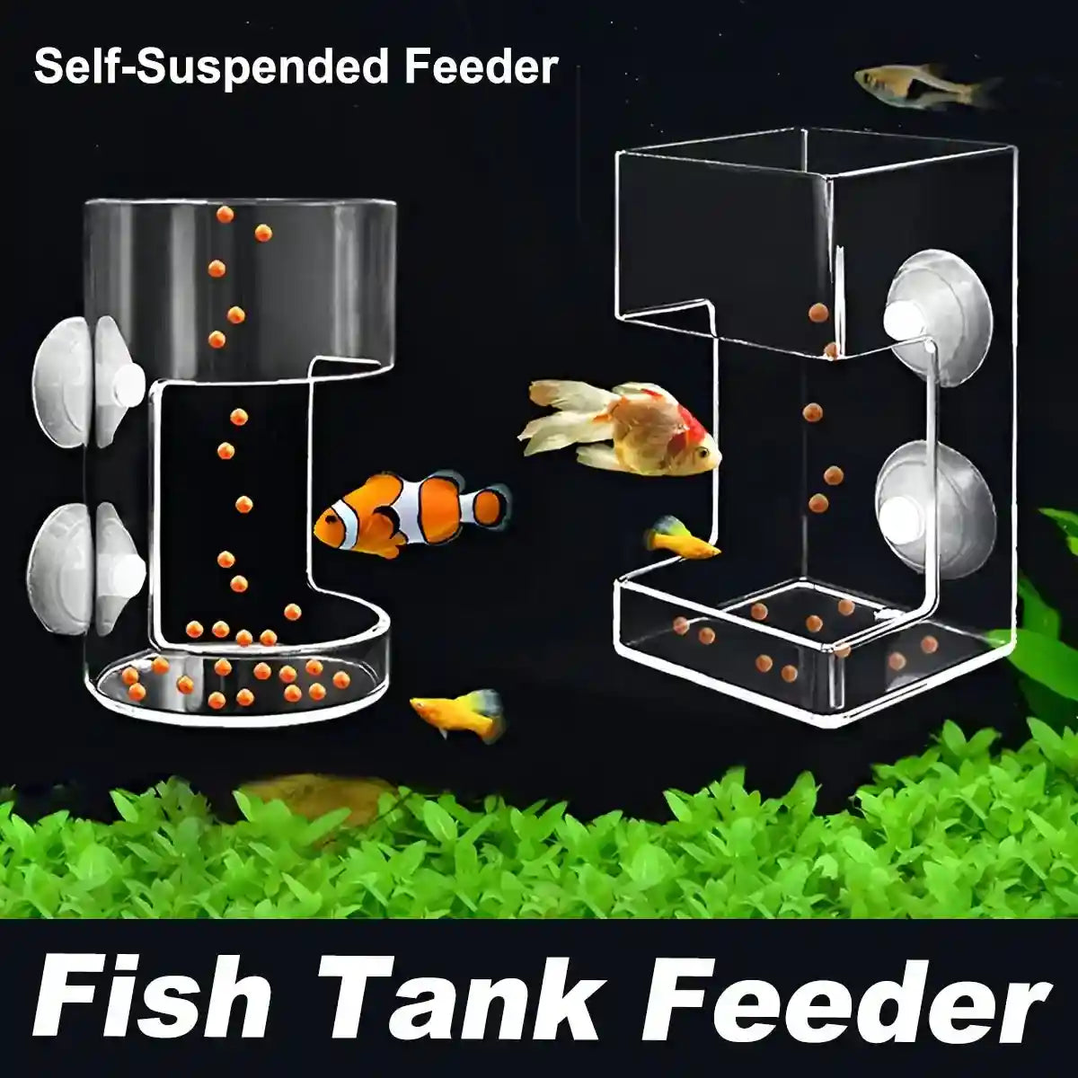 Fish Tank Feeder Box with Suction Cups