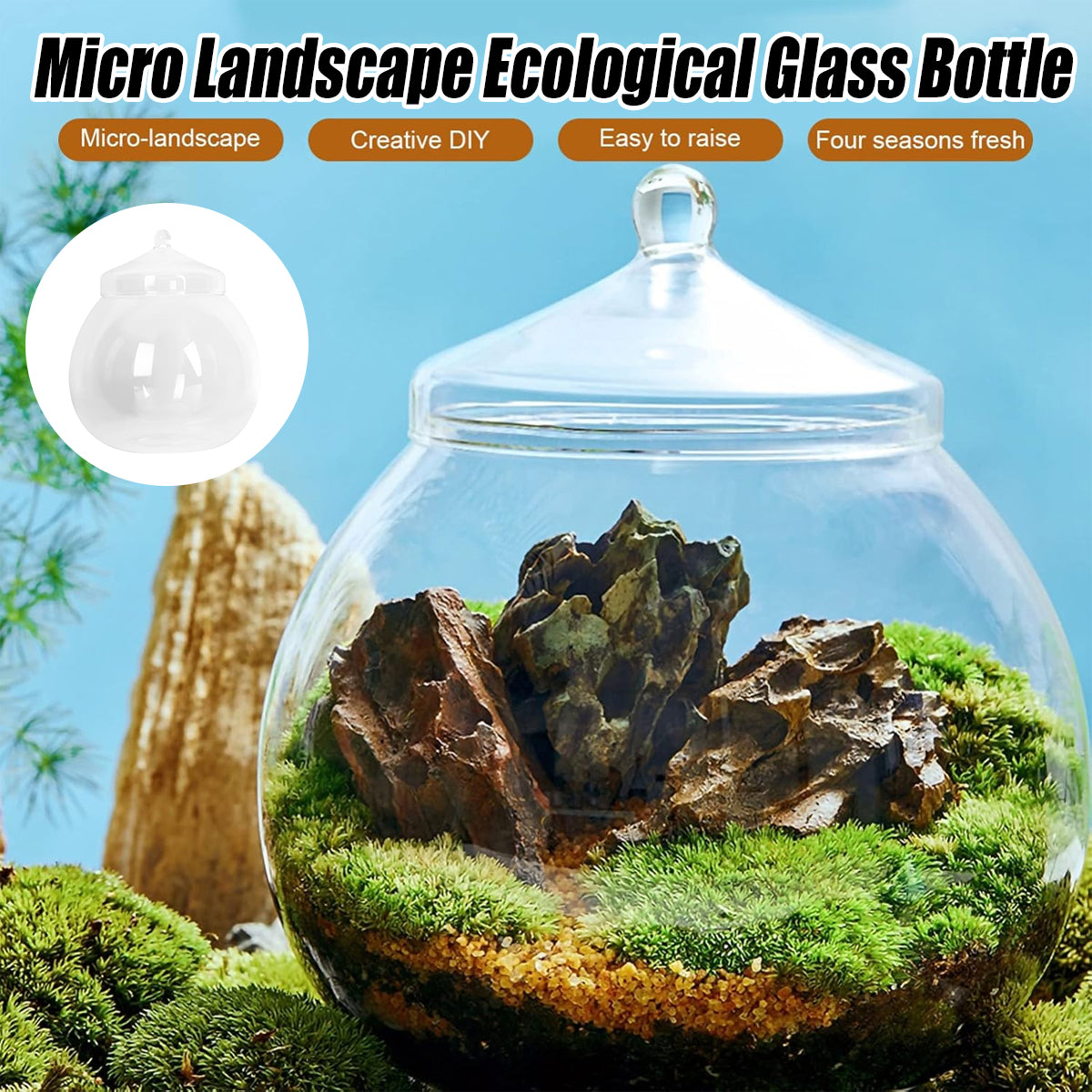 Glass Terrarium Jar Mini Indoor Plant Ecosystem