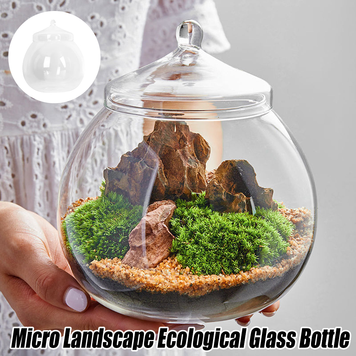 Glass Terrarium Jar Mini Indoor Plant Ecosystem