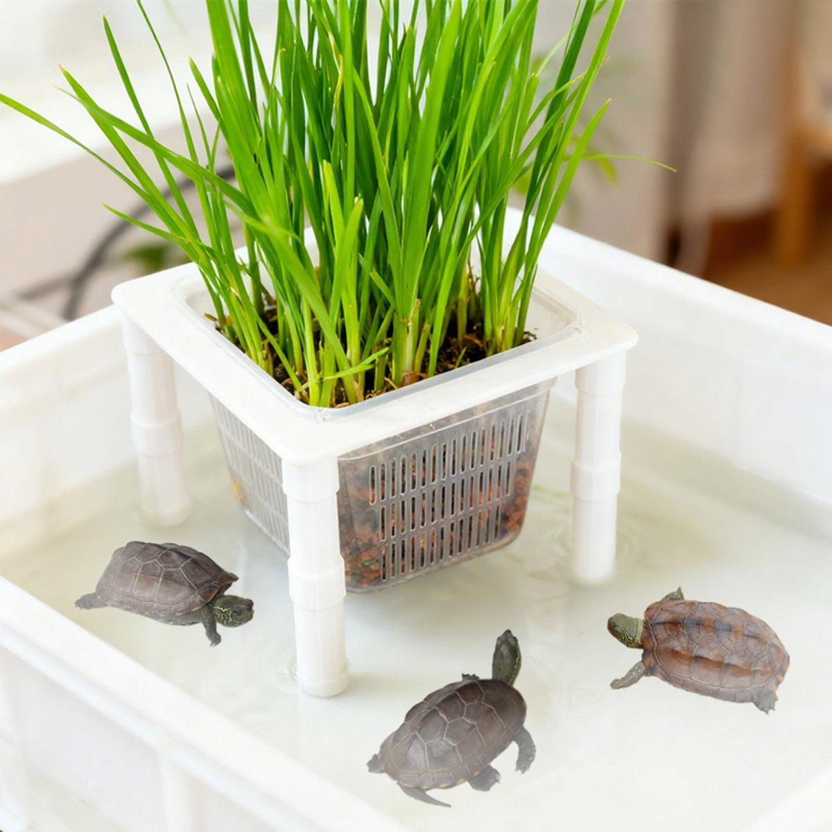 Hydroponic Plant Basket Bracket for Aquarium