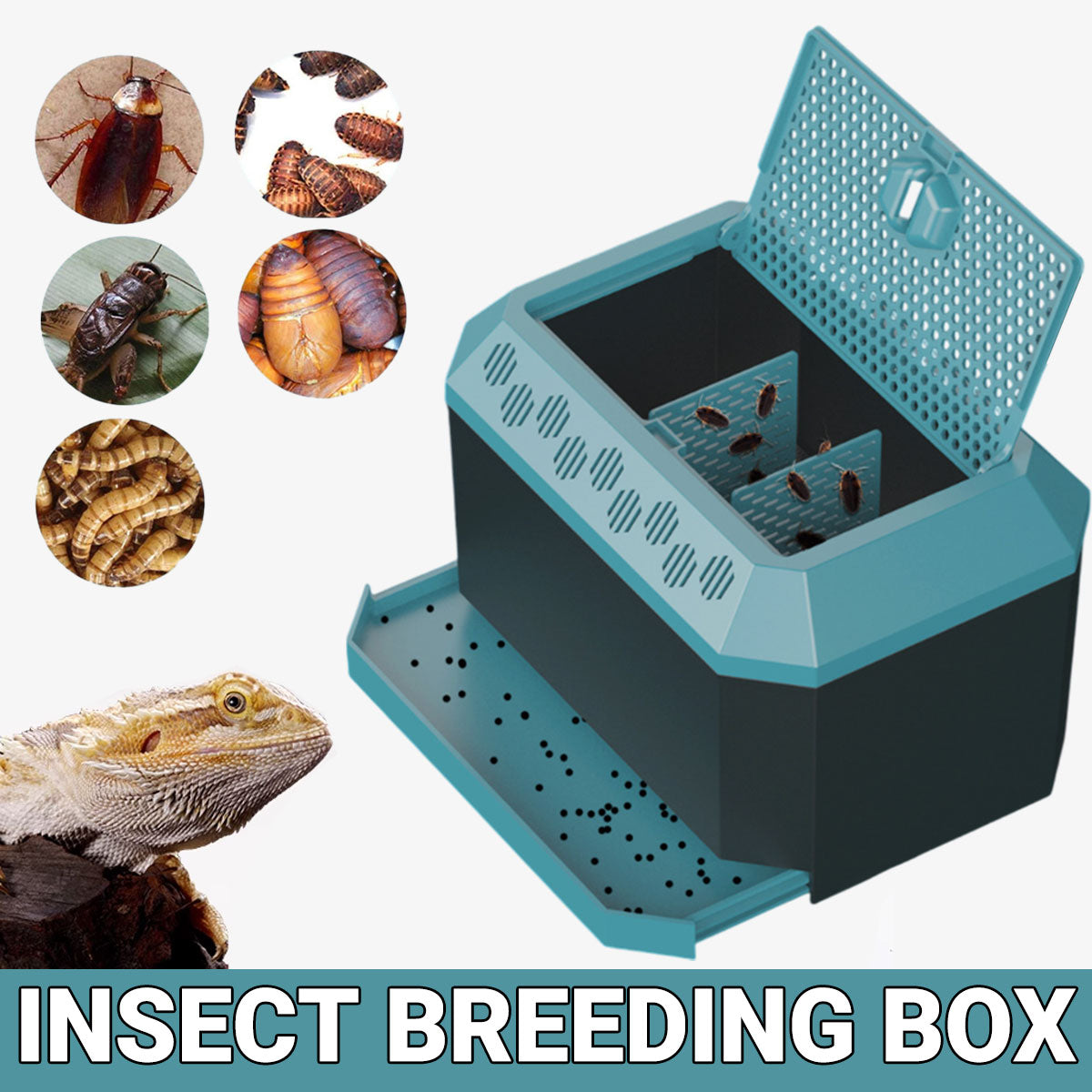 Insect Breeding Box Ventilated Container For Crickets Mealworms