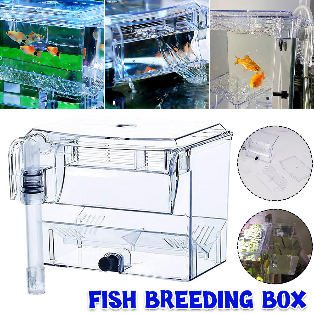 Acrylic Fish Breeding Isolation Box for Guppies and Small Fish