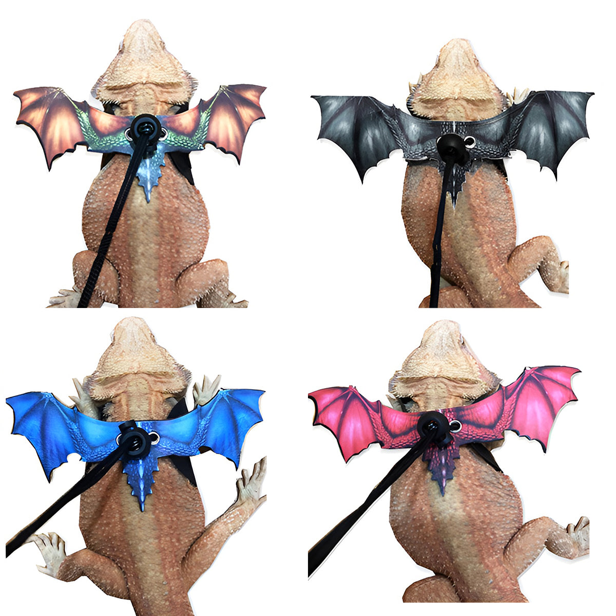Adjustable Dragon Wing Lizard Leash Reptile Harness Set