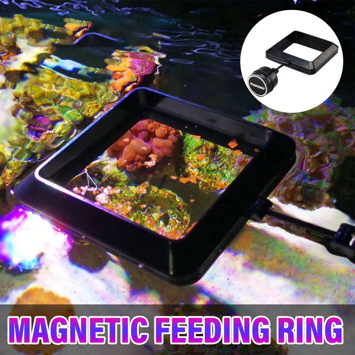 Magnetic aquarium feeding ring for fish food