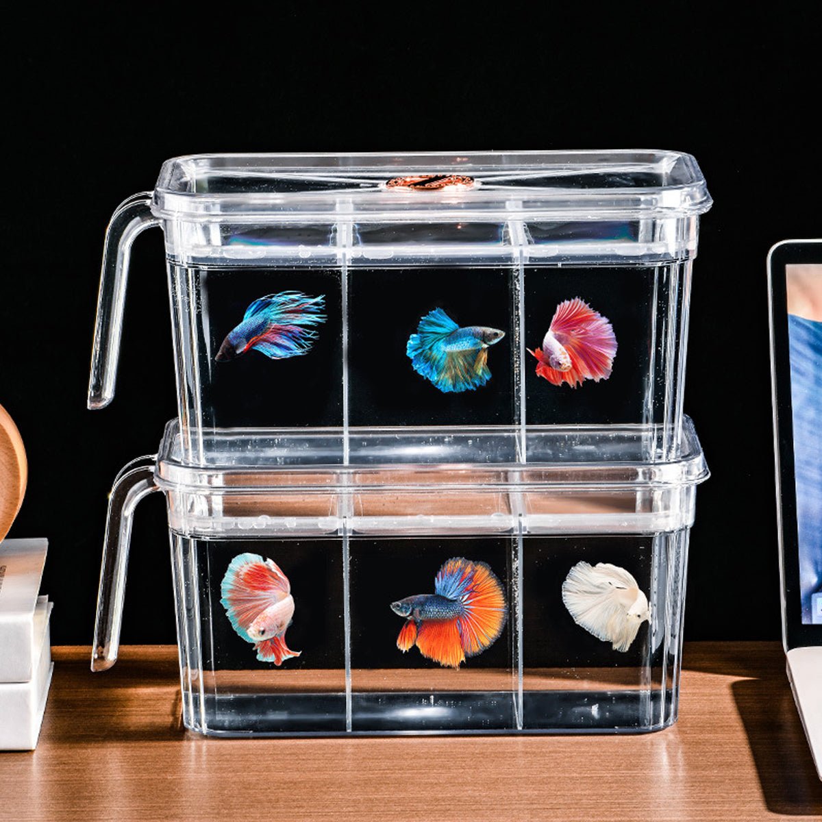 Transparent Desktop Fish Tank Small Aquarium Pendulum Tank for Home Decoration