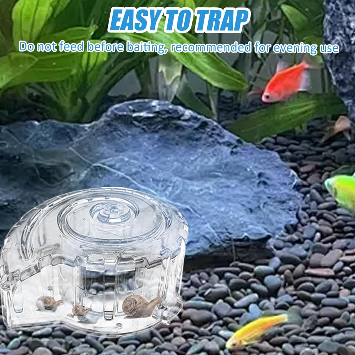 Aquarium Snail Catcher Transparent PC Trap Safe & Effective for Fish Tanks