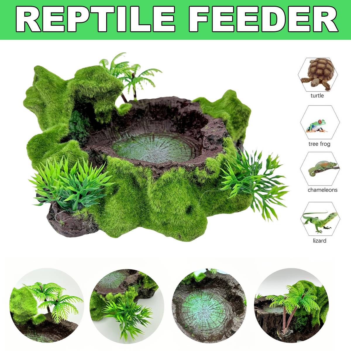 Reptile Feeding Bowl With Water Basin