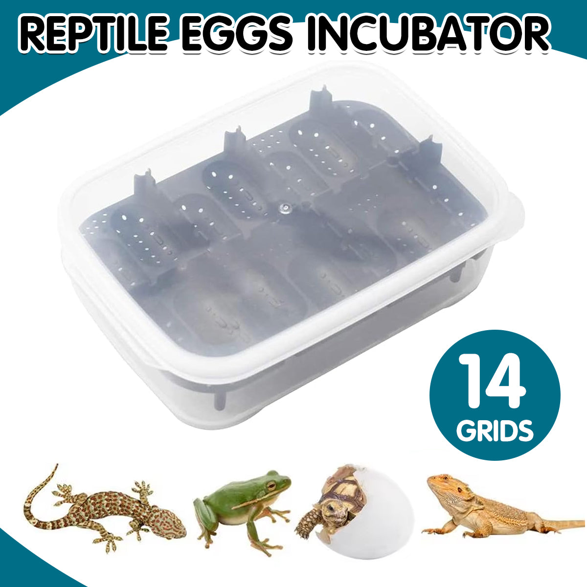 14 Grid Reptile Breeding Box Transparent Egg Incubator