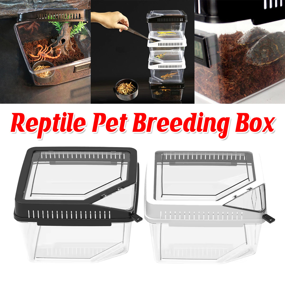 Transparent Reptile Feeding Box With Ventilated Lid