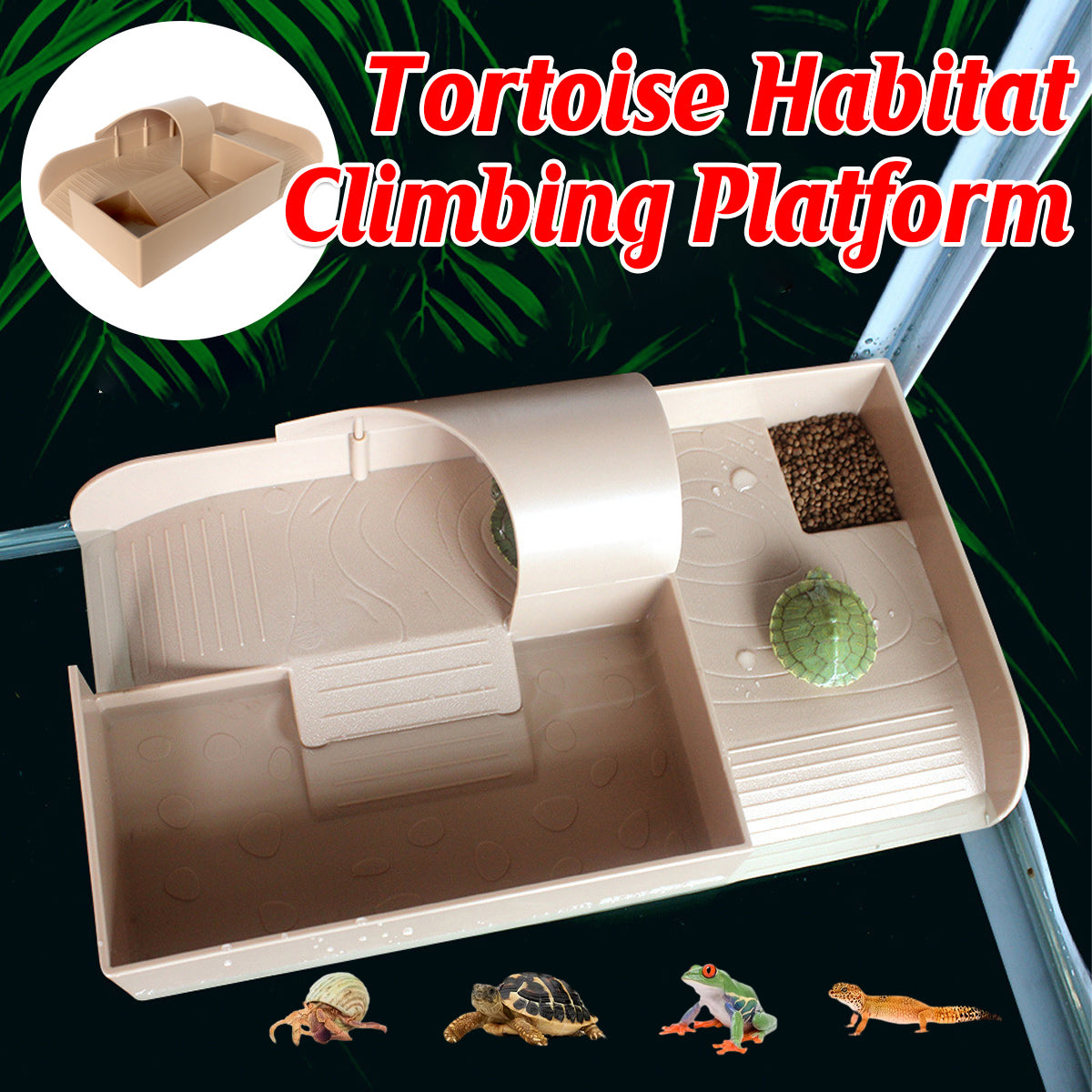 Reptile Basking and Climbing Platform for Turtles and Tortoises