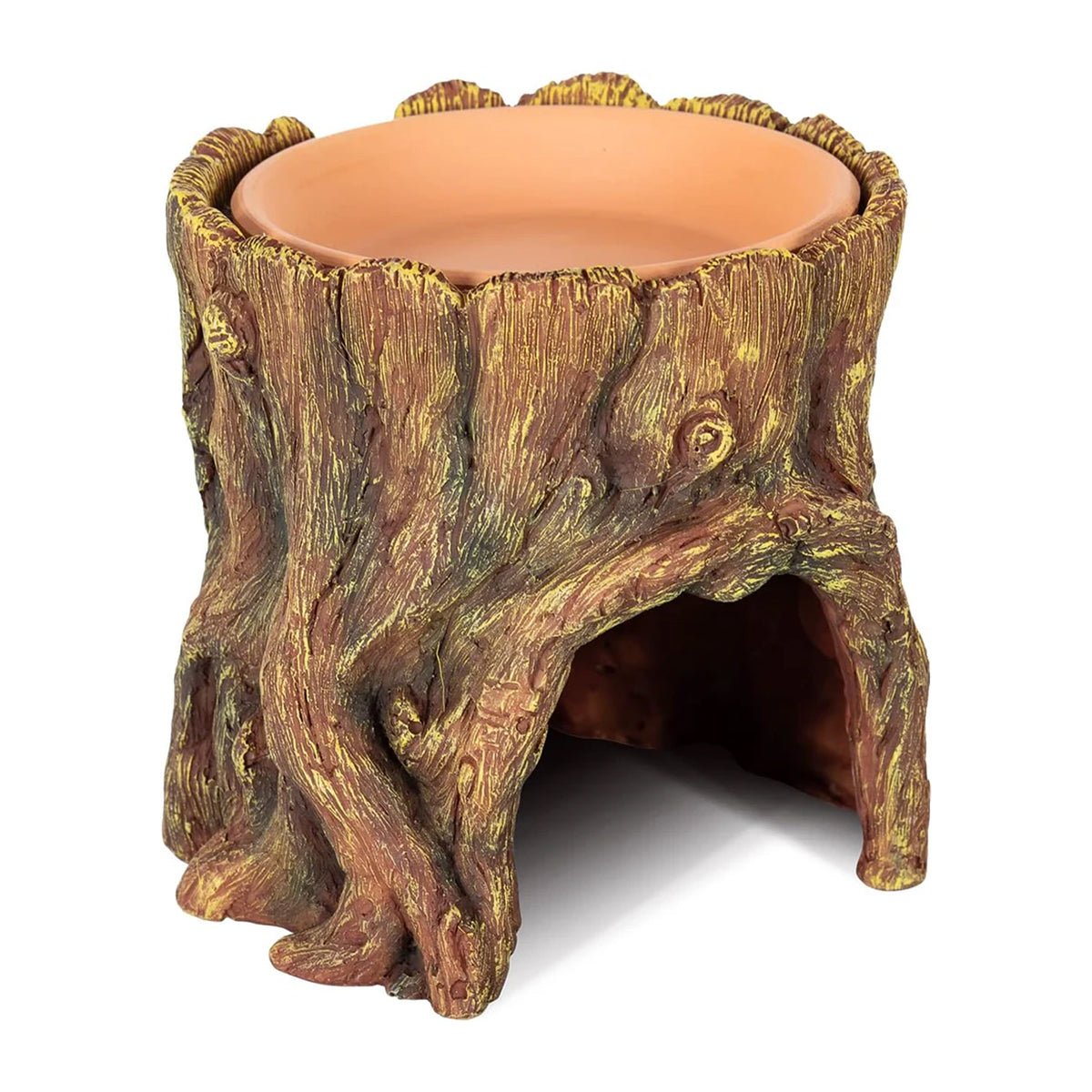 Tree Stump Reptile Cave