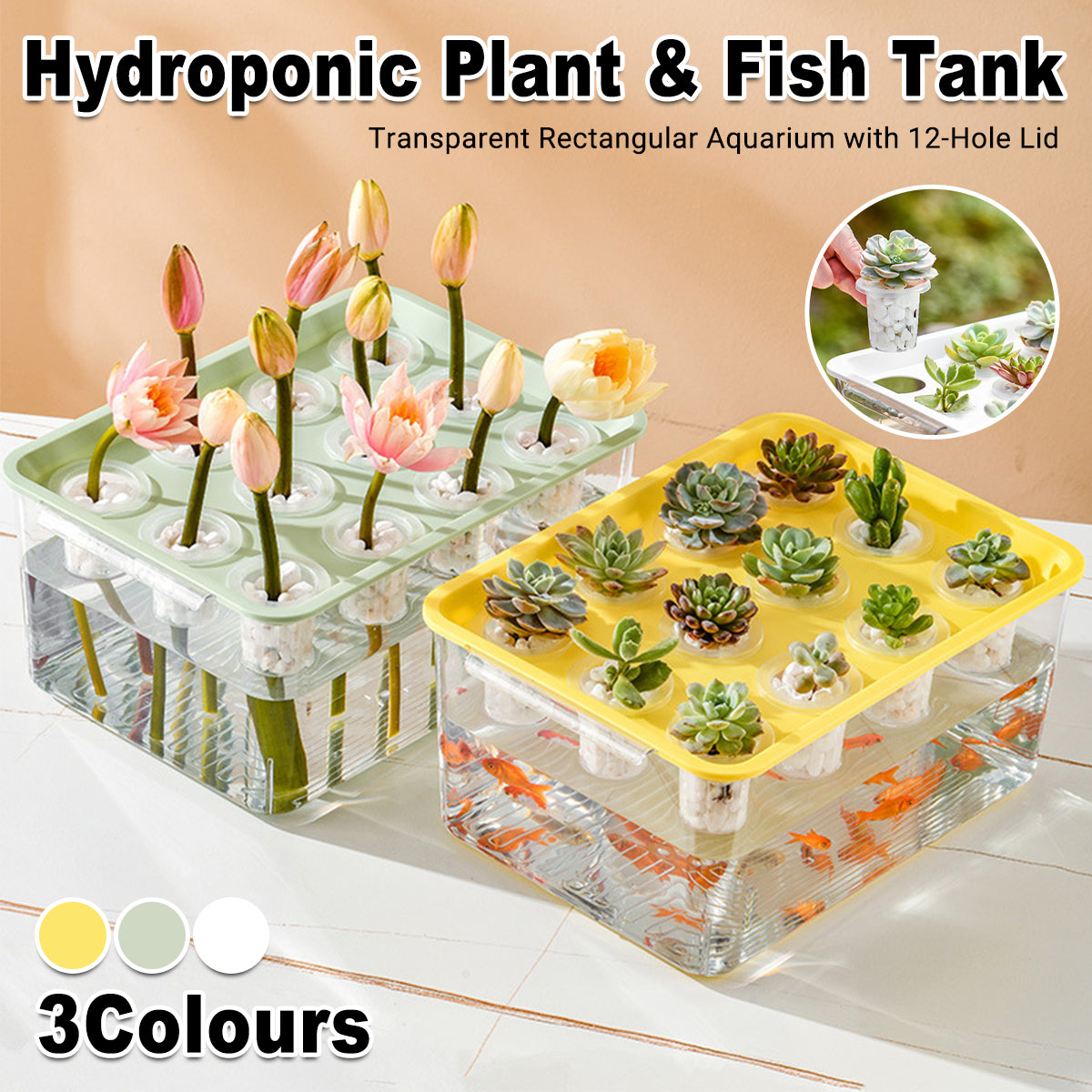 Transparent Hydroponic Aquarium with 12-Hole Lid