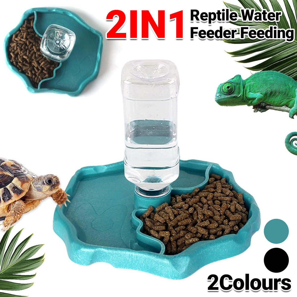 2in1 Dual-Purpose Reptile Feeder Water Bowl