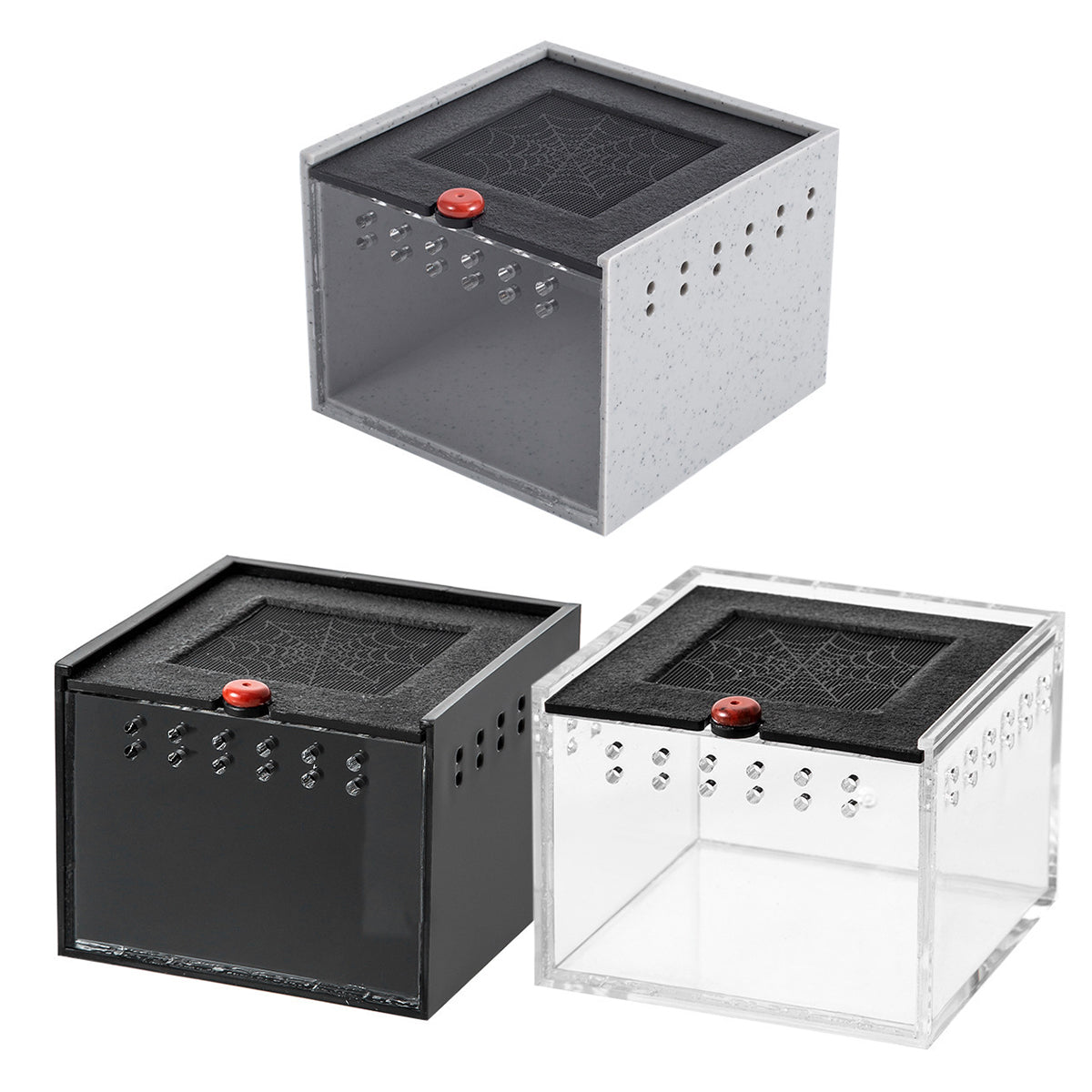 Reptile Climbing Pet Enclosure Spider Lizard Breeding Terrarium Box Terrarium