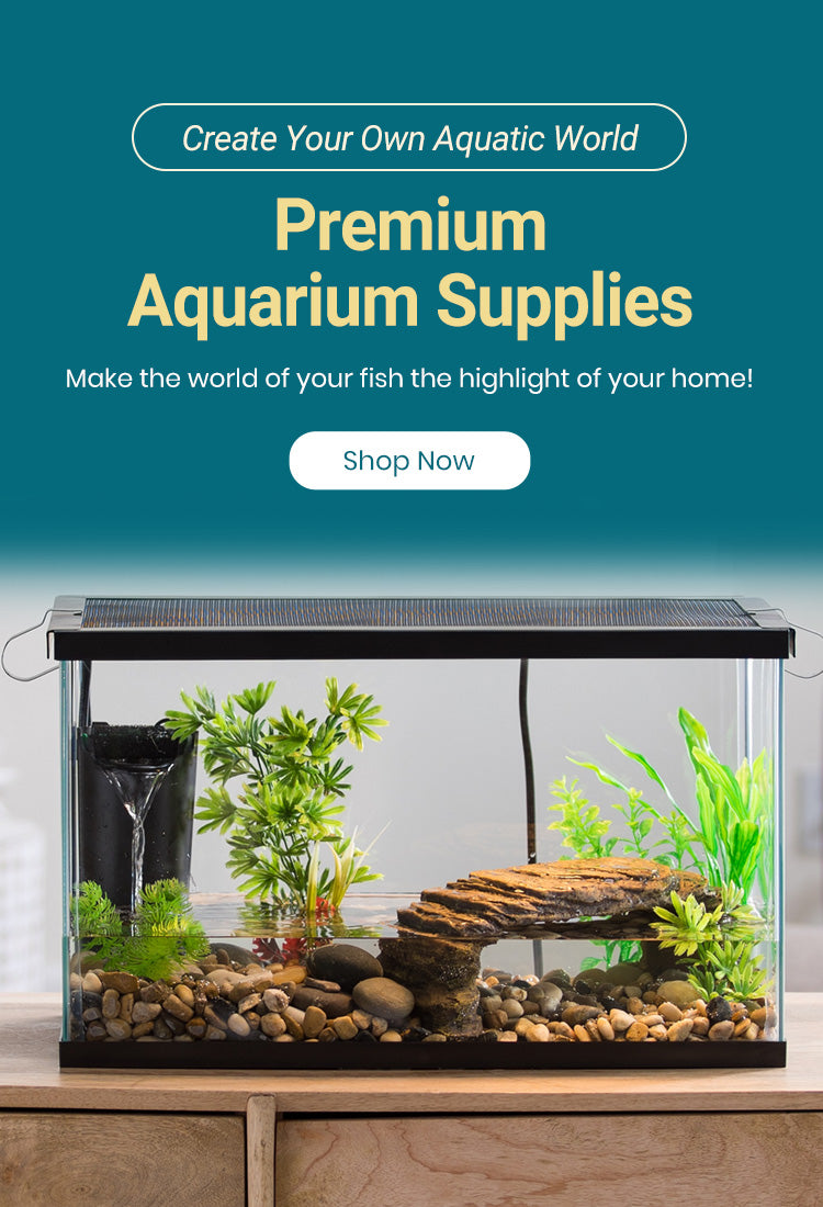 Aquarium Supplies