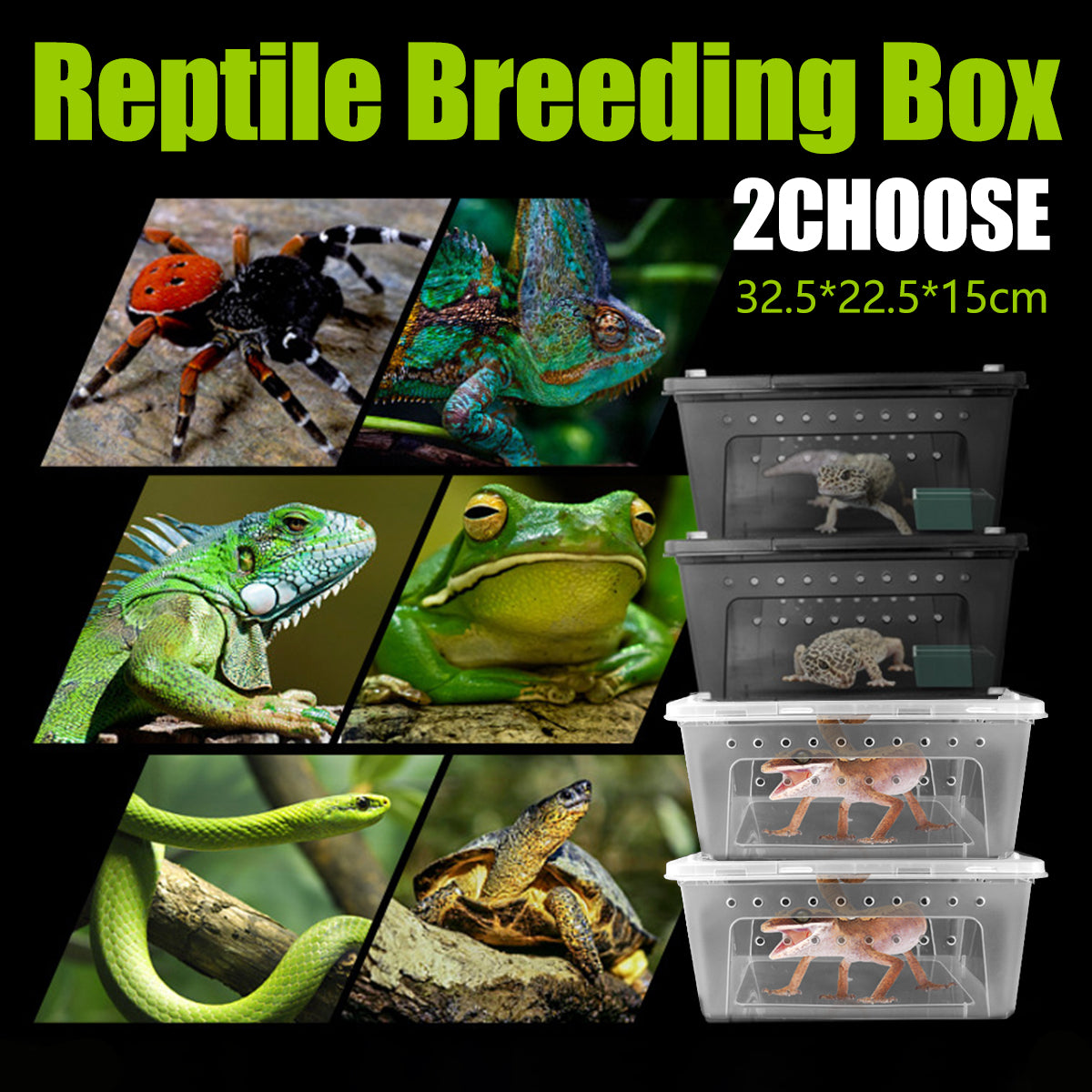 Reptile Breeder Box Transparent Insect Terrarium With Feeding Bowl