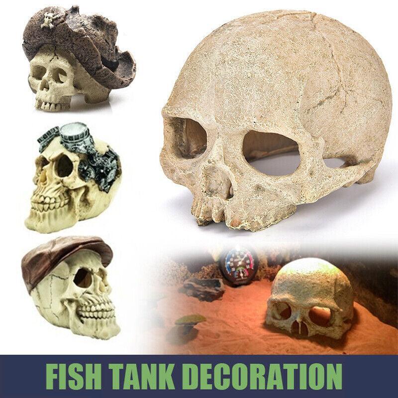Artificial Head Bone Aquarium Ornament Bald Bald 4 Types