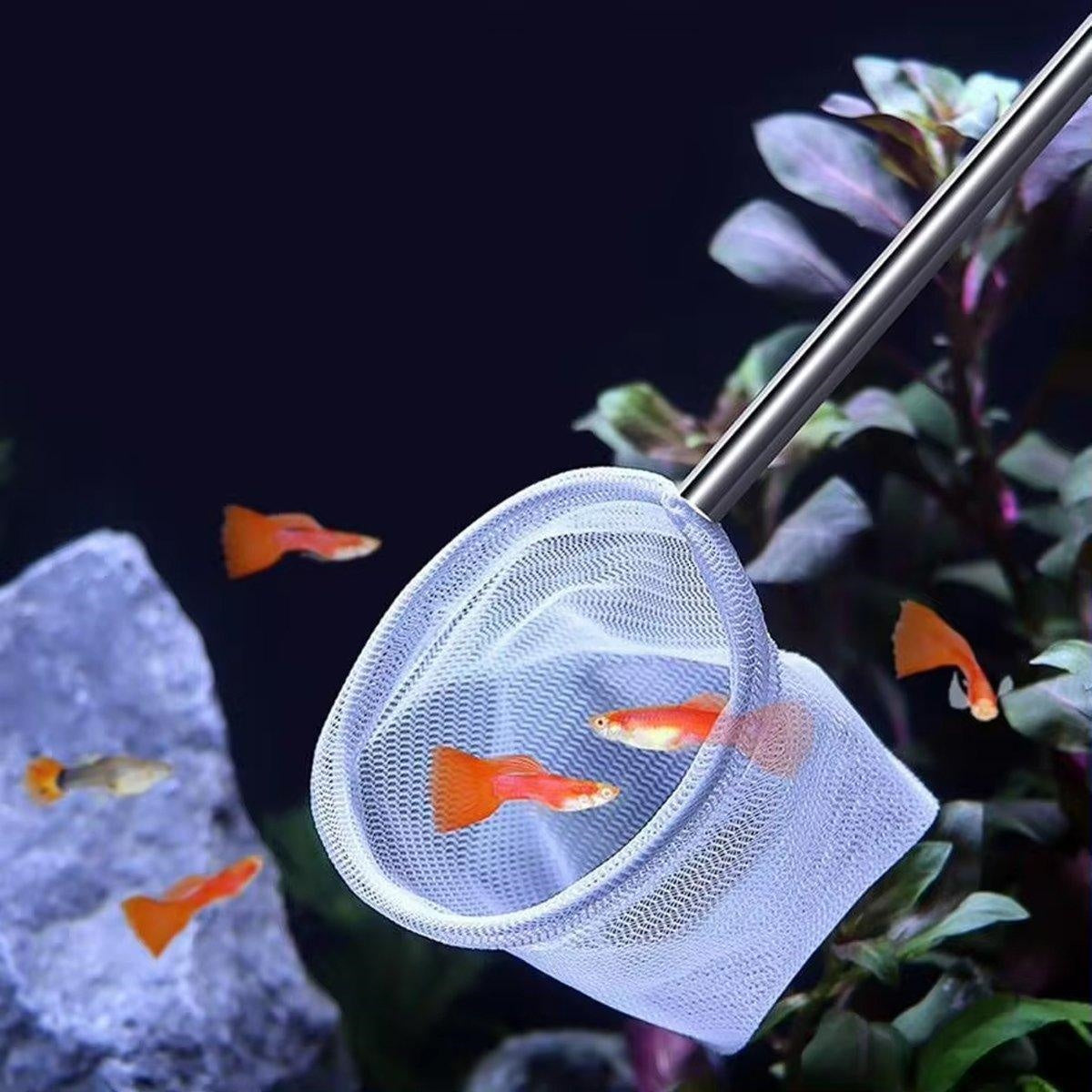 Stainless Steel Retractable Aquarium Fish Net - Telescopic Fish Scoop