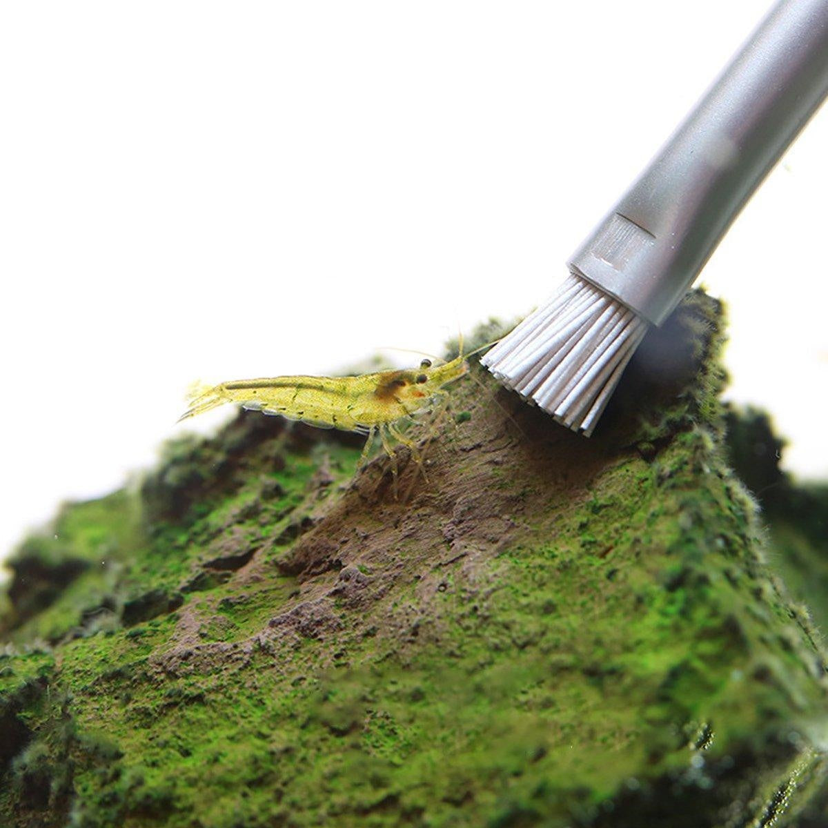 Landscape Stone Cleaning Brush Algae Brush Water And Grass Landscape Brush ADA Same Style Cleaning Algae On Stone Wood