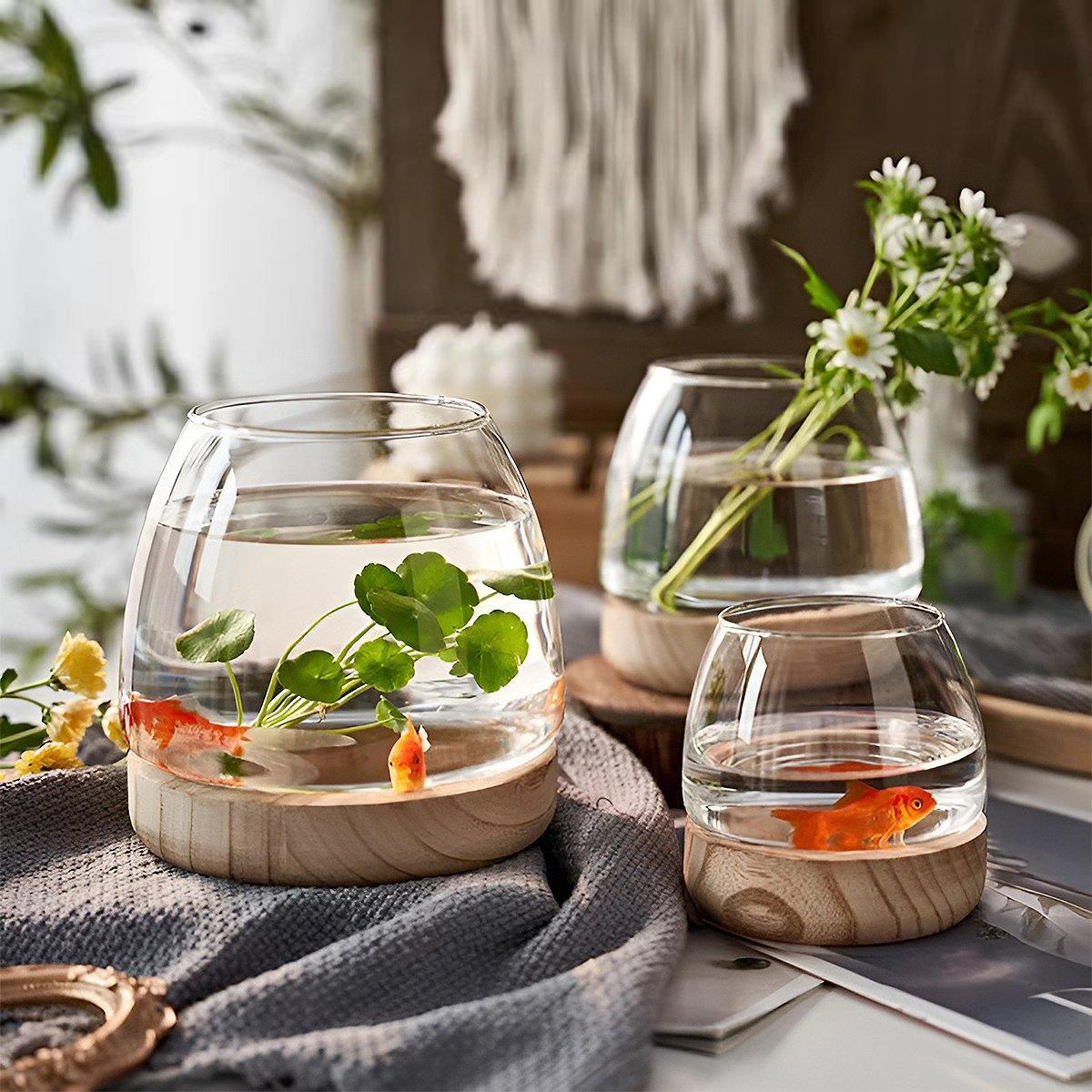 Elegant Small Aquarium with Wooden Tray