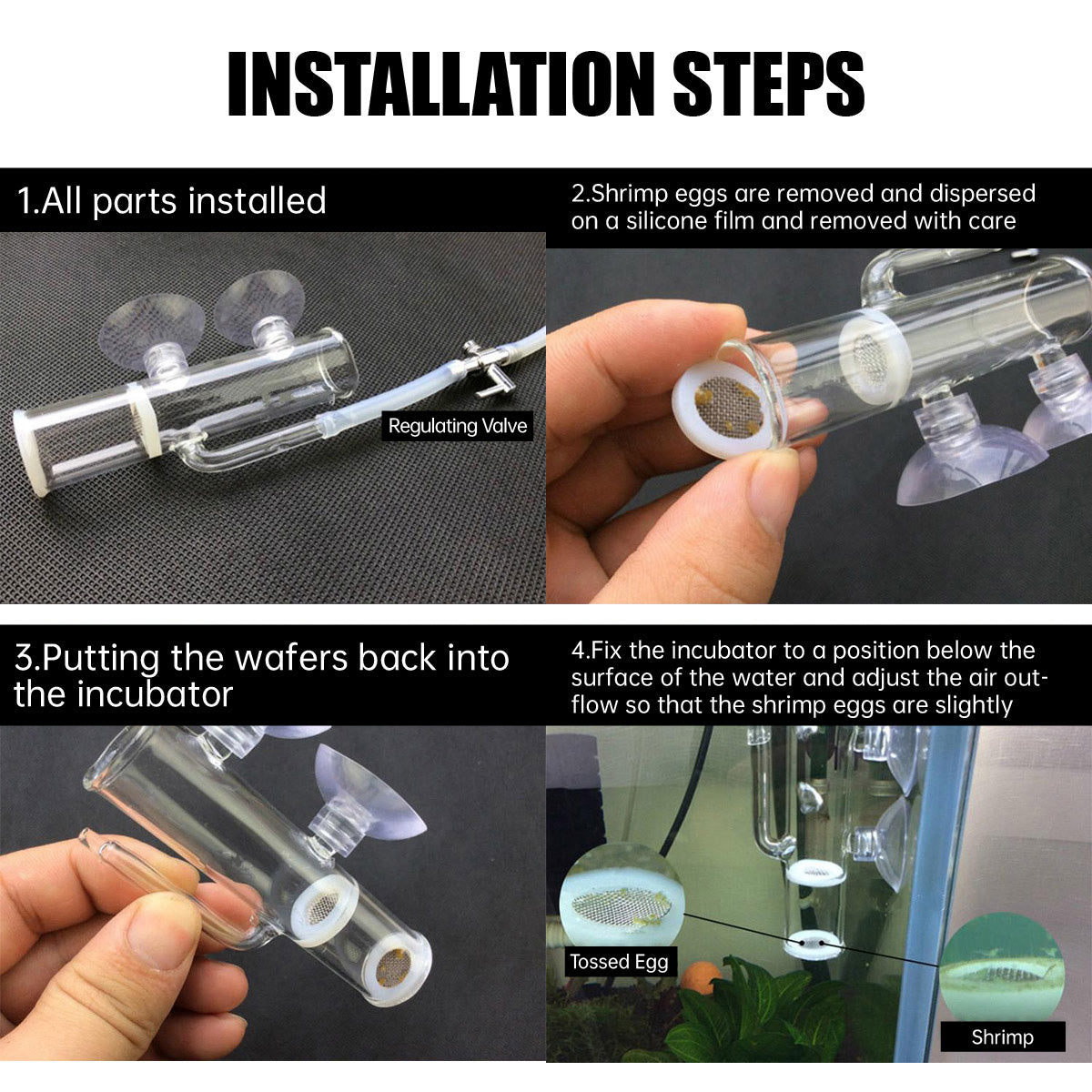 Glass Shrimp Egg Incubator with Regulating Valve for Aquariums