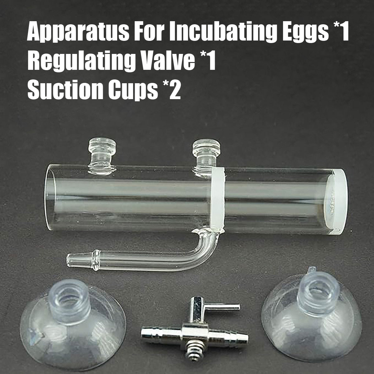 Glass Shrimp Egg Incubator with Regulating Valve for Aquariums