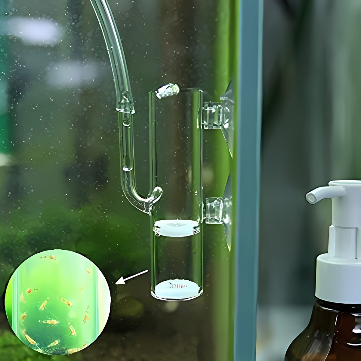 Glass Shrimp Egg Incubator with Regulating Valve for Aquariums