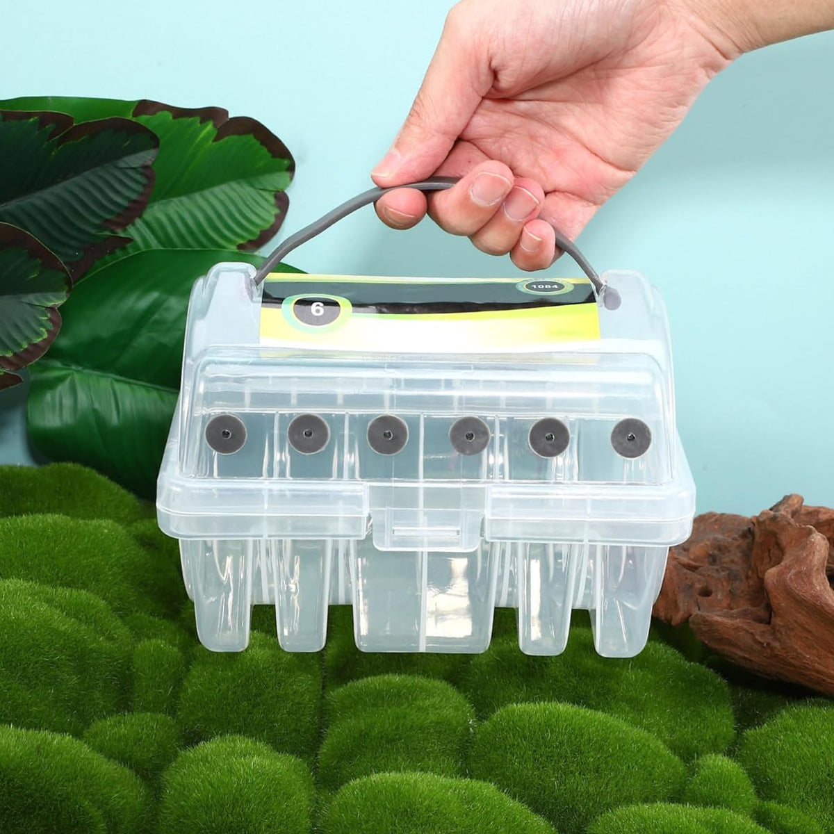Fishing Line Winder Box with 6 Spool Capacity and Silicone Outlets