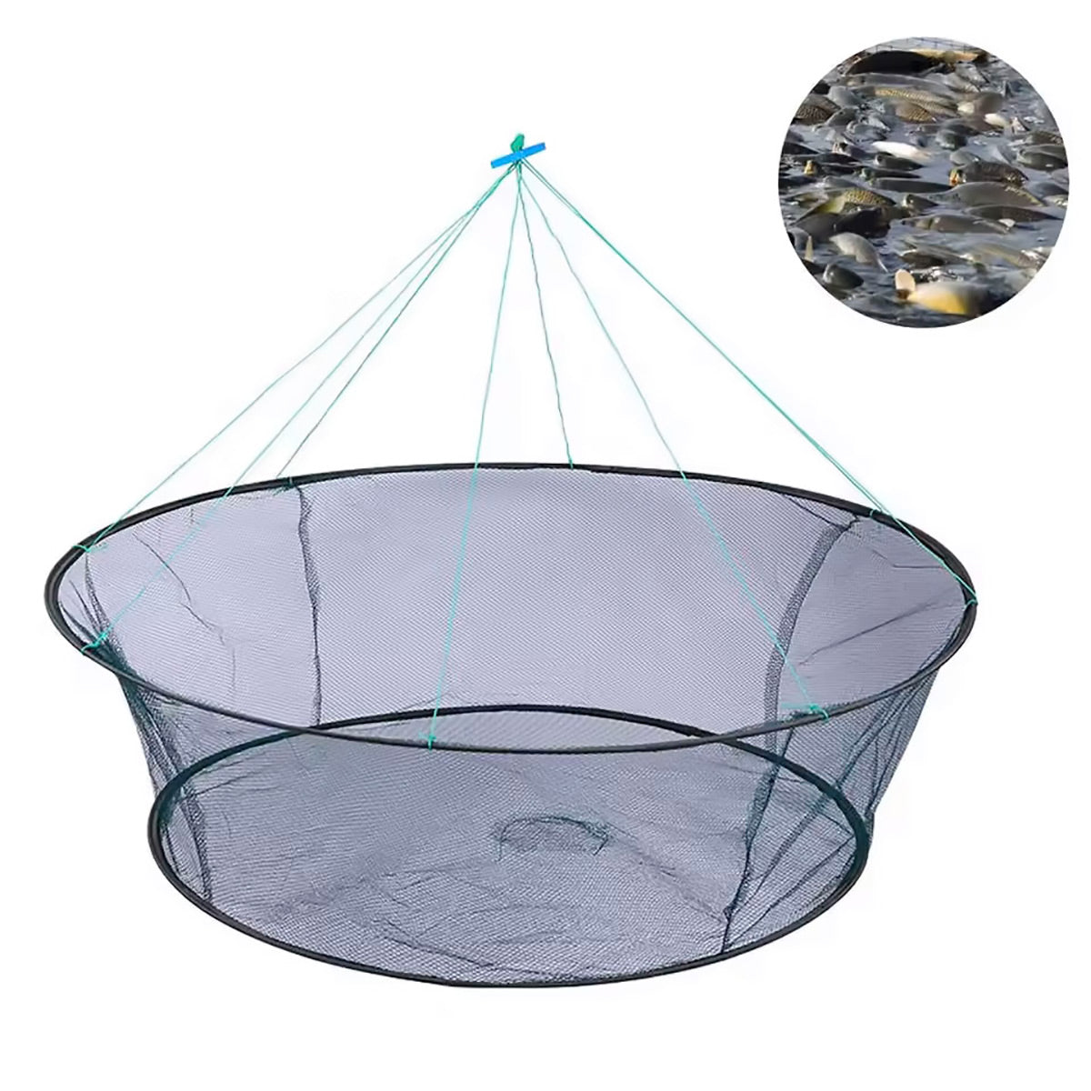 Folding Fishing Net Round Nylon Trap for Fish & Crustaceans