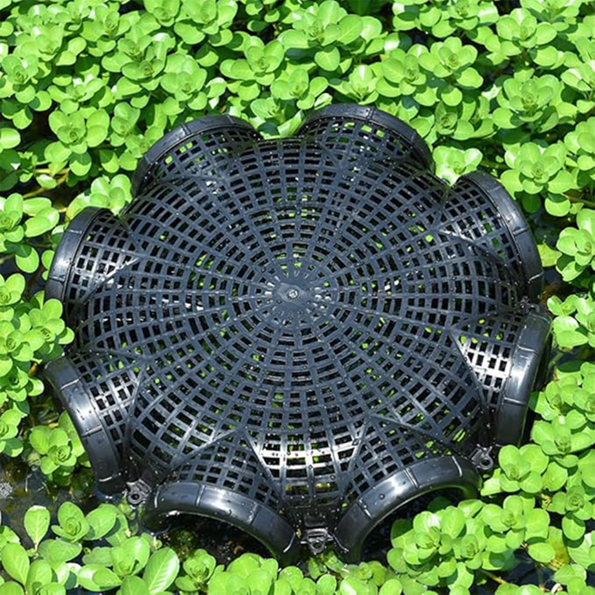 Eight-Hole Fishing Cage Trap for Eels Lobsters and Small Fish