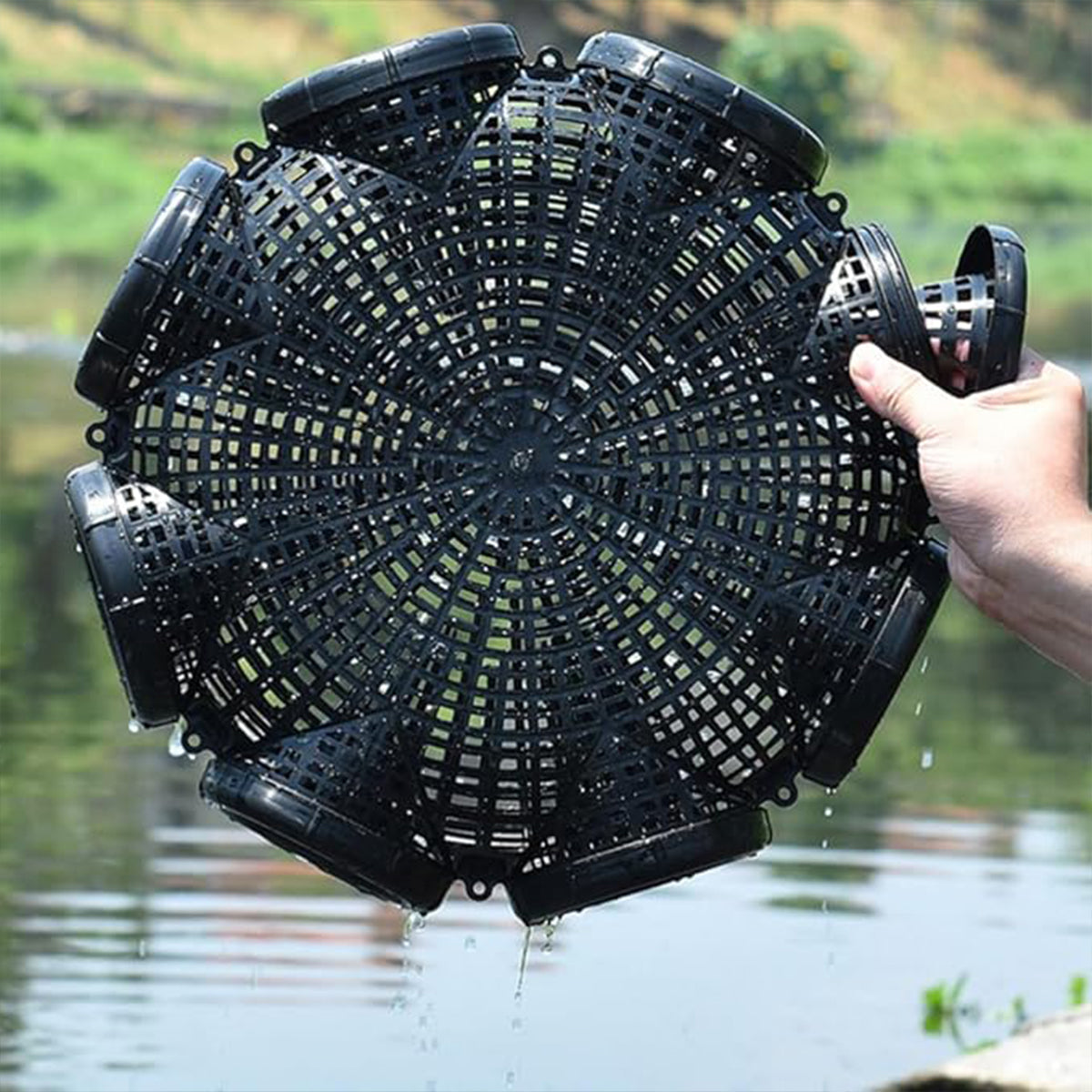 Eight-Hole Fishing Cage Trap for Eels Lobsters and Small Fish