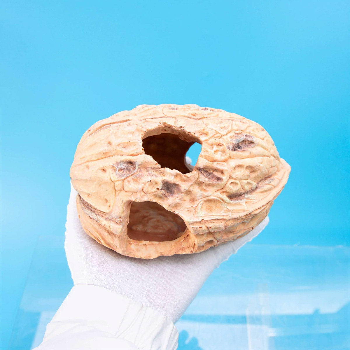 Walnut-Inspired Resin Climbing Shelter for Reptiles and Small Pets