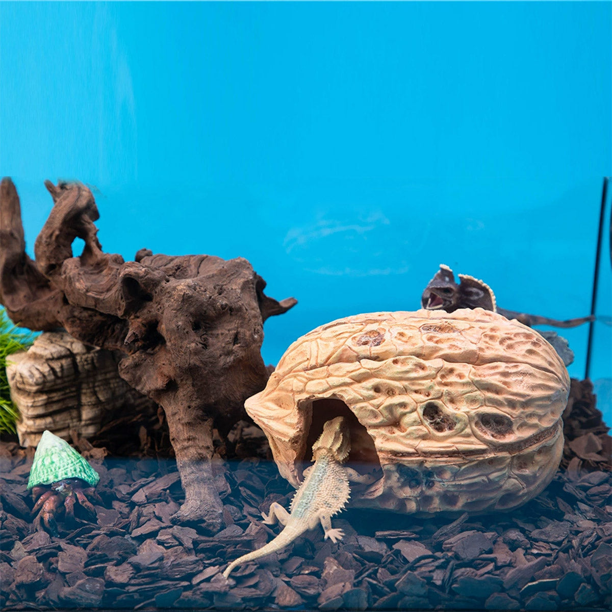 Walnut-Inspired Resin Climbing Shelter for Reptiles and Small Pets