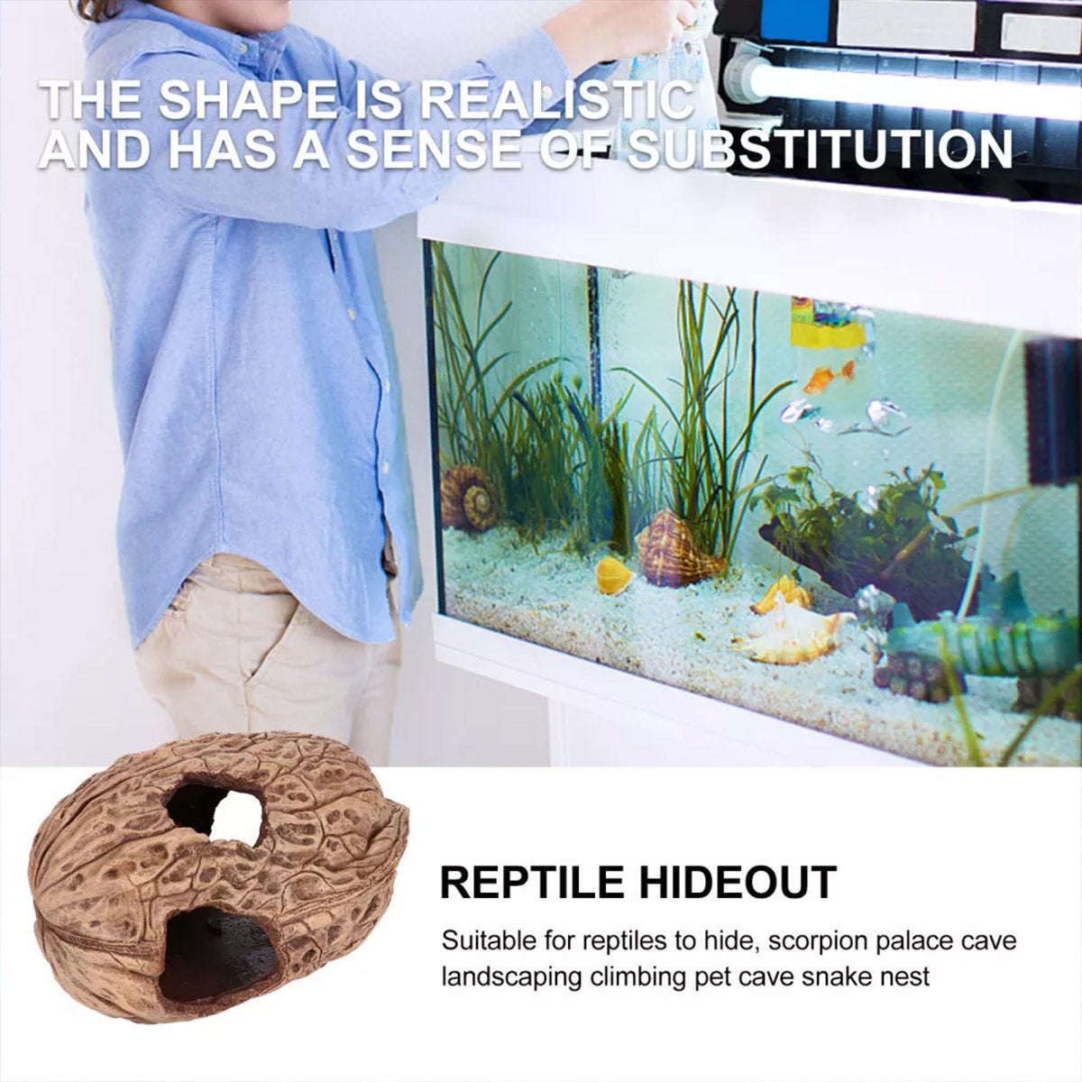 Walnut-Inspired Resin Climbing Shelter for Reptiles and Small Pets