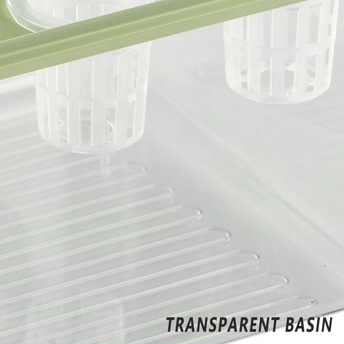 Transparent Hydroponic Aquarium with 12-Hole Lid