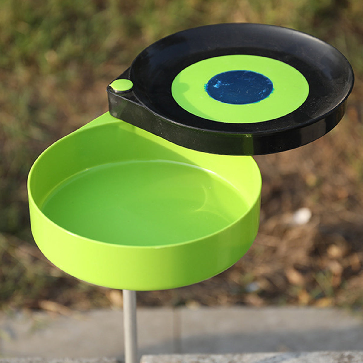 Magnetic Bait Tray With Rotating Lid And Mounting Options