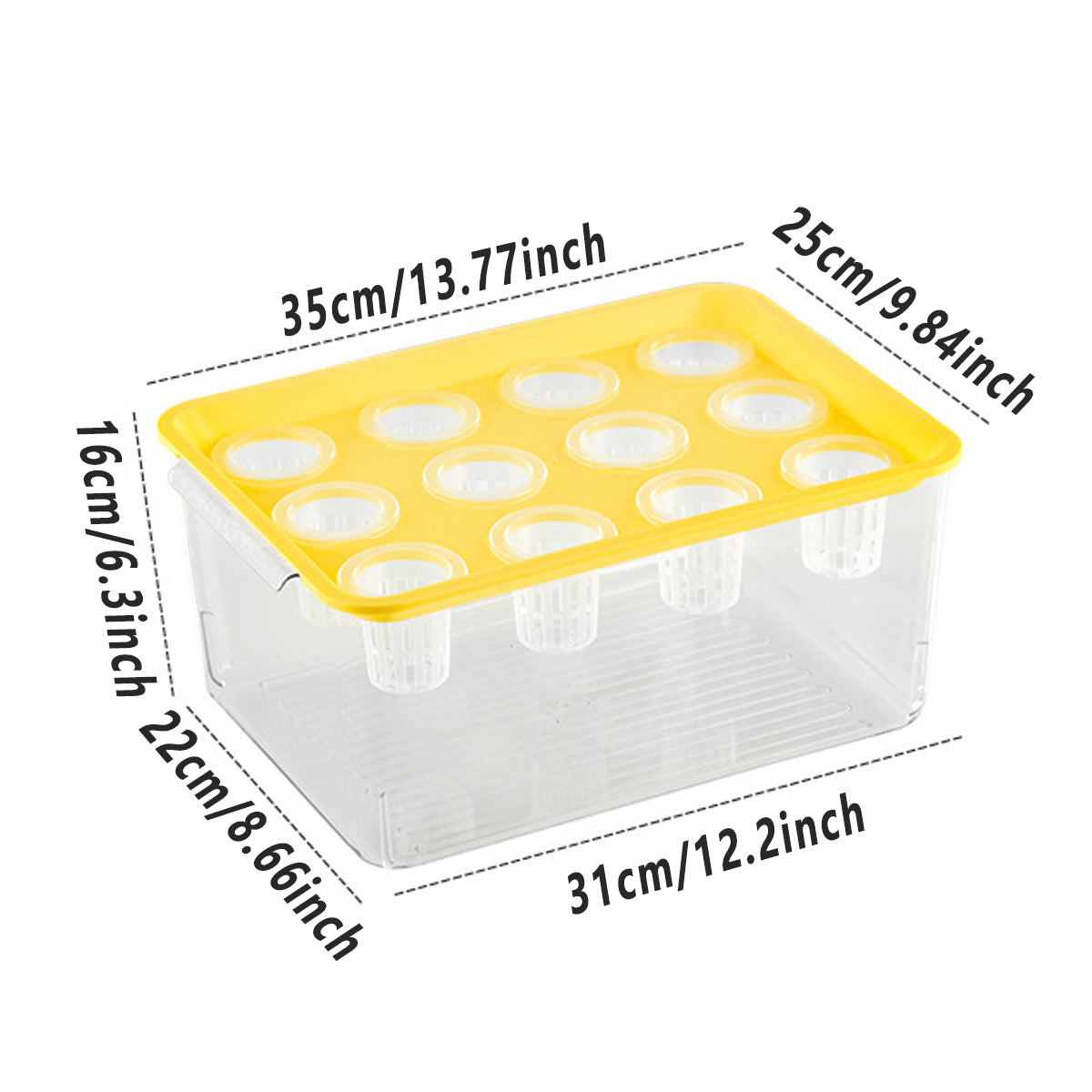 Transparent Hydroponic Aquarium with 12-Hole Lid