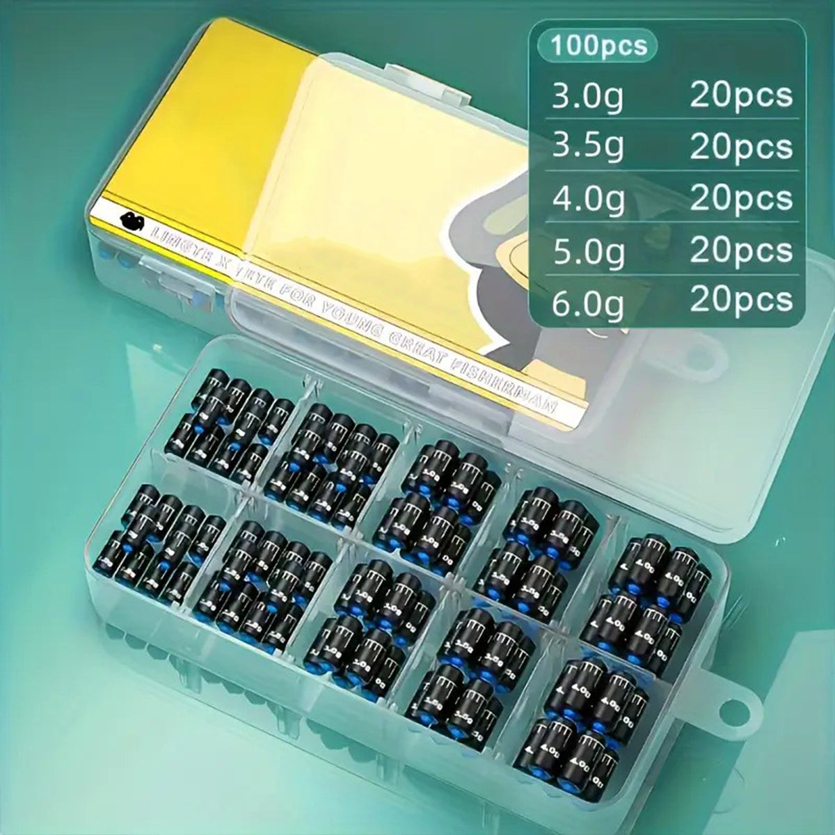 Graduated Fishing Lead Weights 100PCS with Storage Box