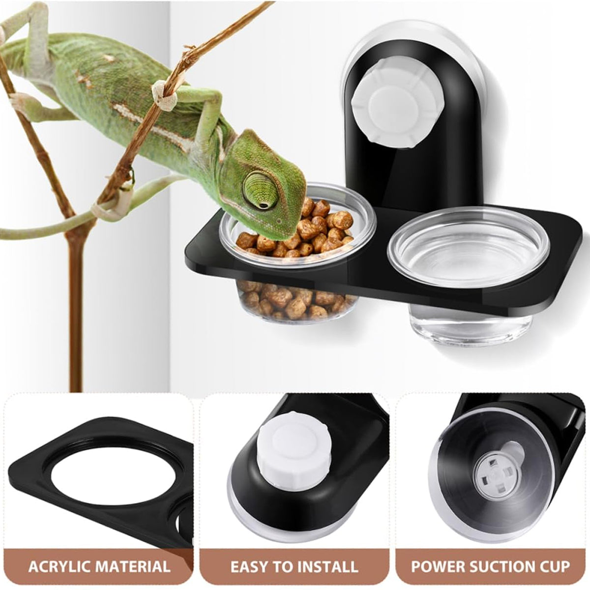 Dual Reptile Food And Water Bowl With Mounting Options