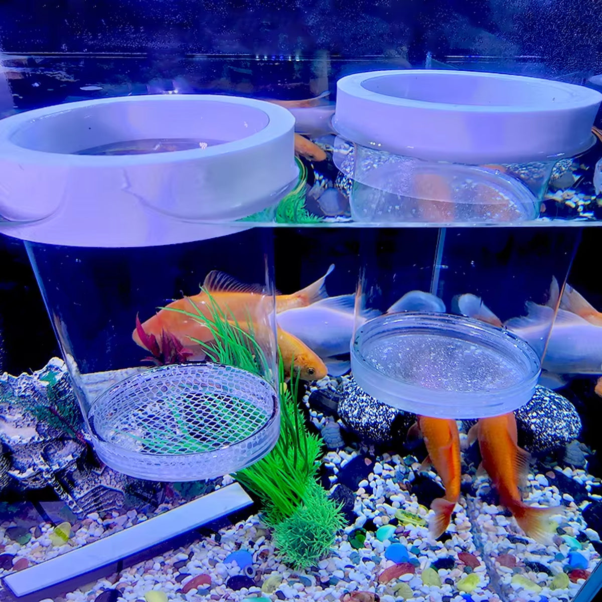 Floating Fish Breeding Box PET Isolation Tank For Fry & Small Fish