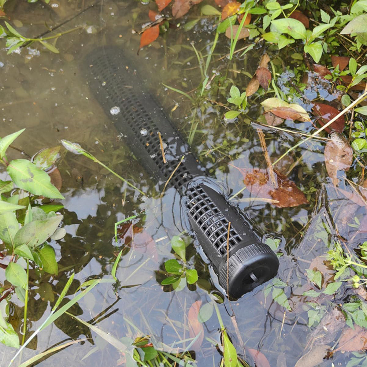Eel Trap Cage Fishing Cylinder for Eels and Loaches