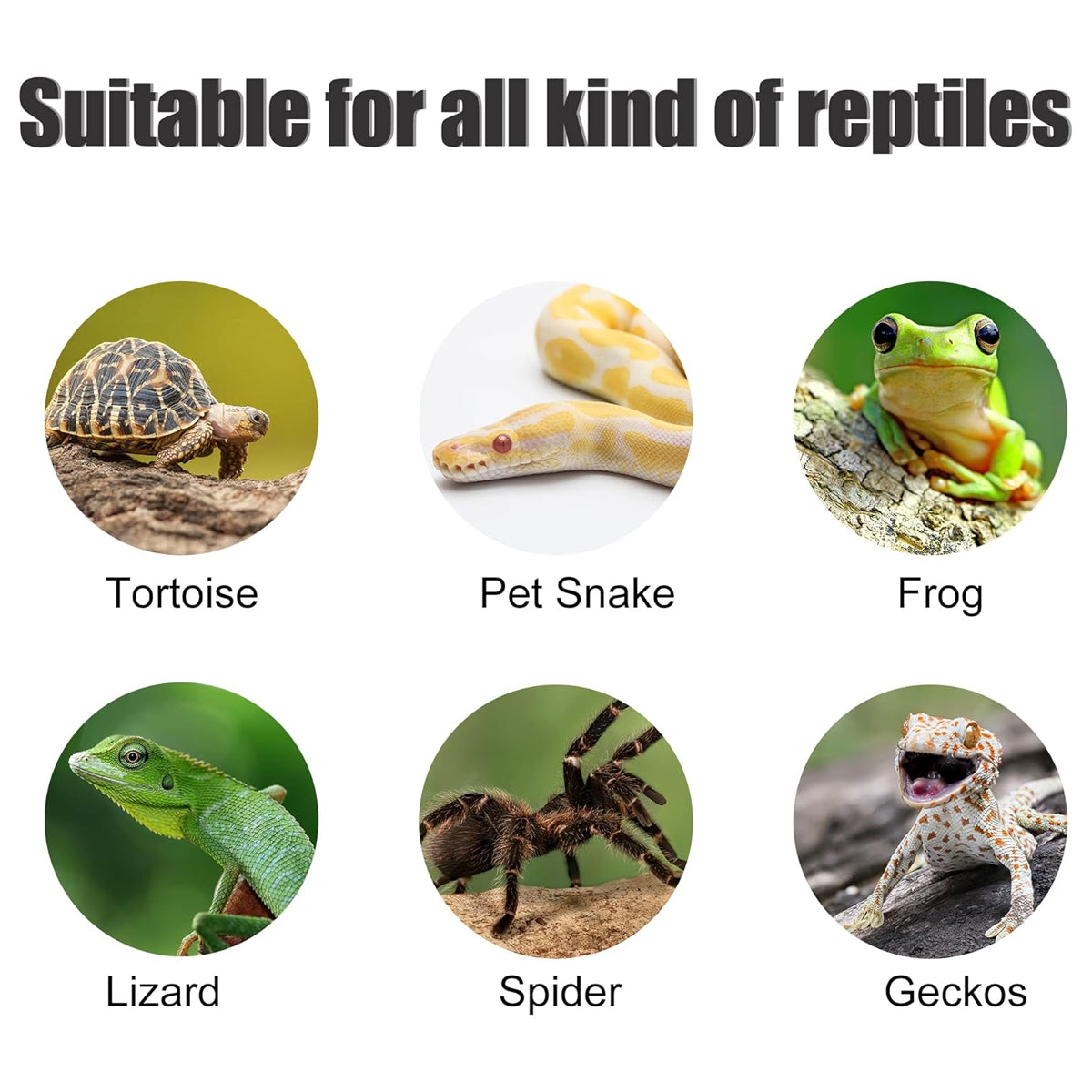 Spiral Turtle Platform Resin Climbing Decoration For Reptile Habitat