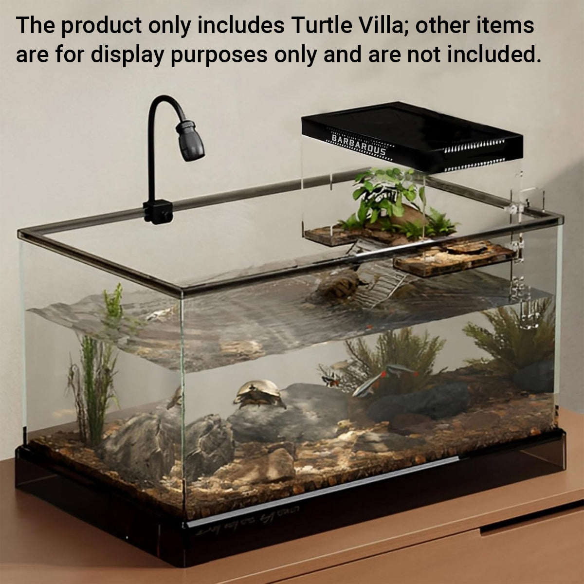 Tortoise Climbing Platform For Deep Water Tanks