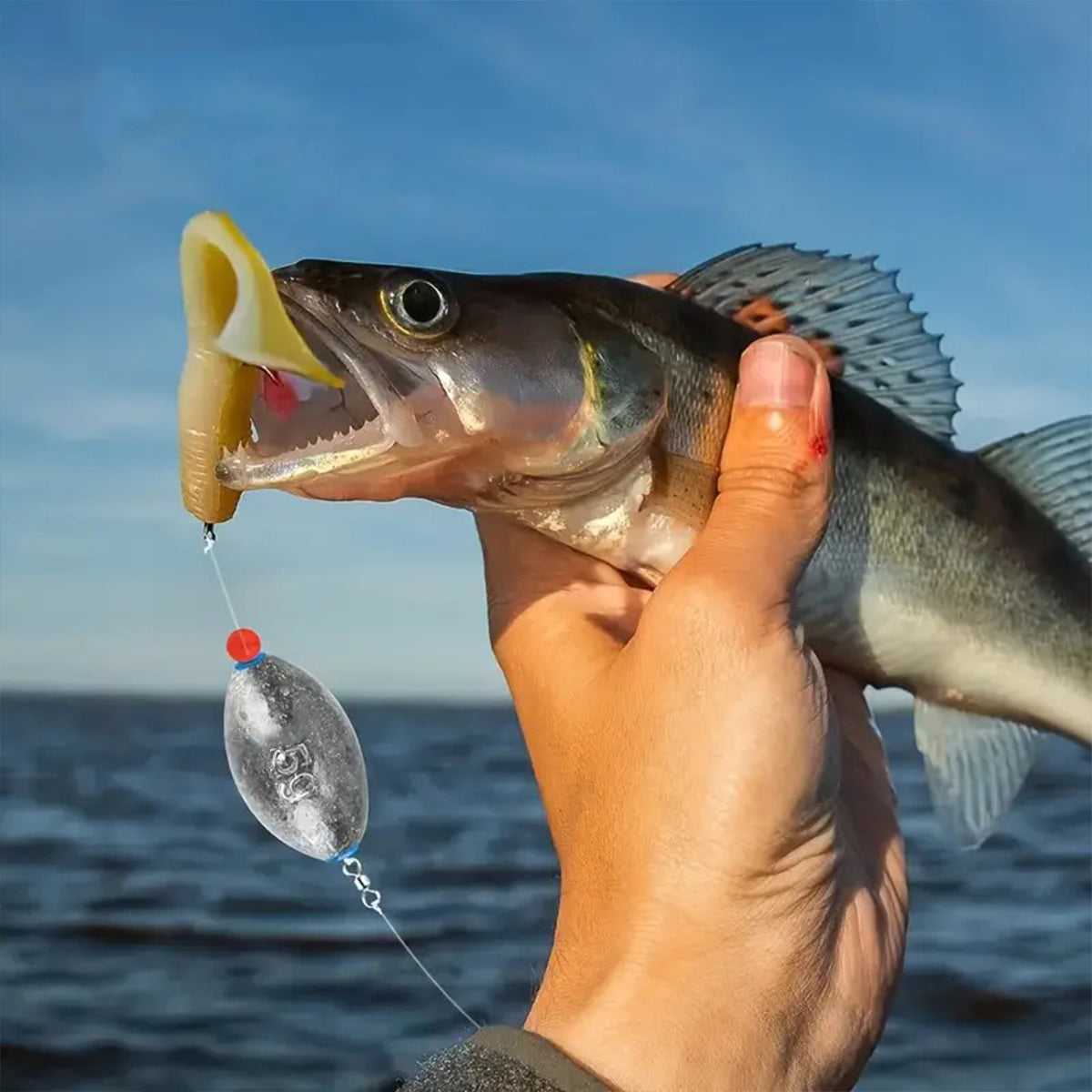 Egg-Shaped Lead Sinker – 35PCS Fishing Weights with Core Groove